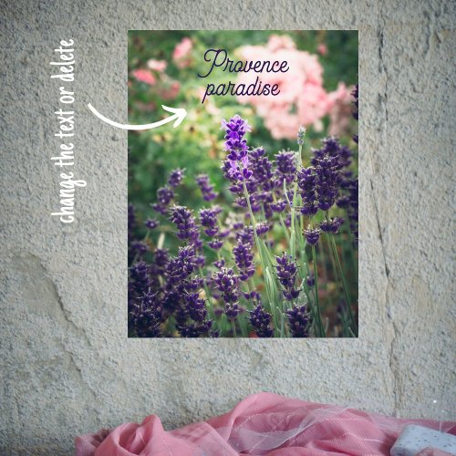 Rose and lavender blossom from Provence garden  Poster