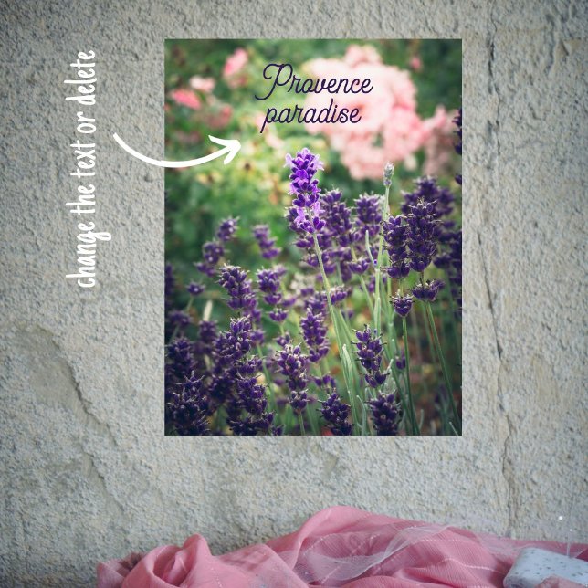 Rose and lavender blossom from Provence garden  Poster (Creator Uploaded)