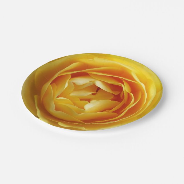 rose and rosebud paper plates (Angled)