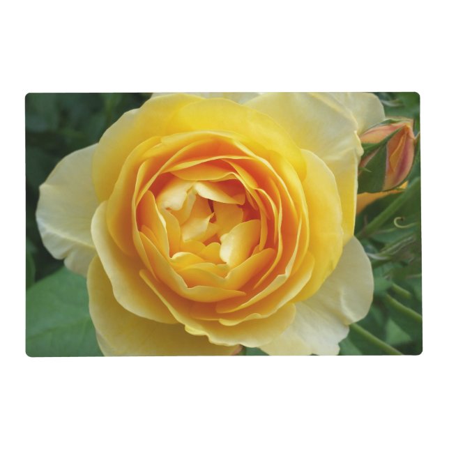 rose and rosebud placemat (Front)