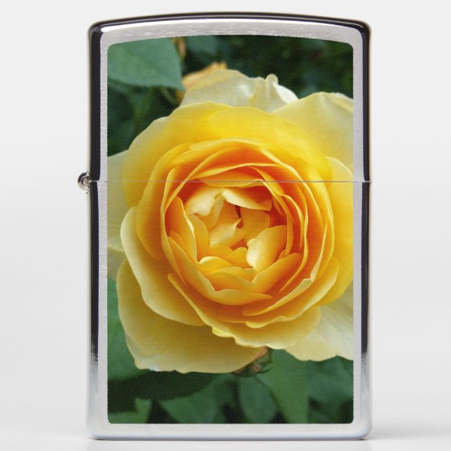 rose and rosebud zippo lighter (Front)