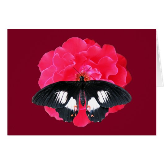 Rose and Swallowtail Cards (Front Horizontal)
