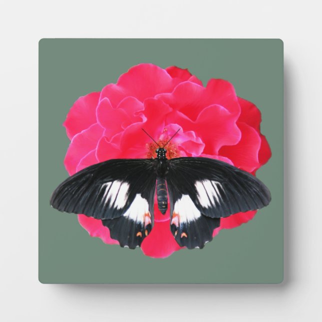 Rose and Swallowtail Plaque (Front)