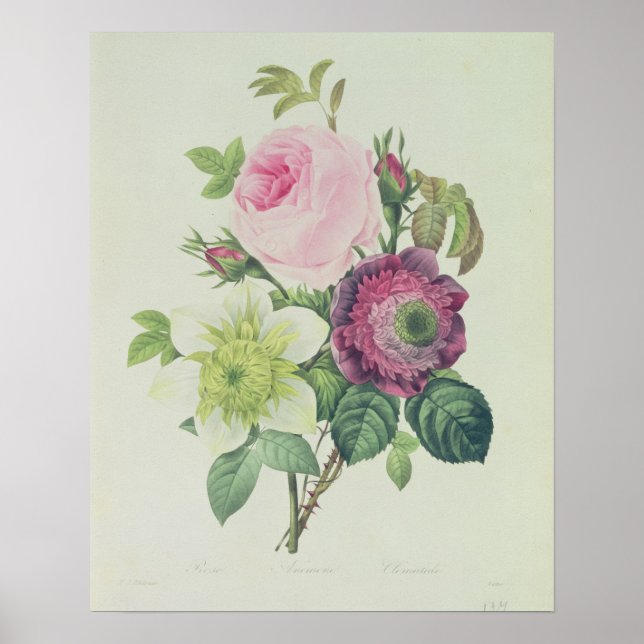 Rose, anemone and Clematide Poster (Front)
