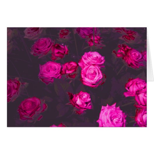 Rose Appeal Card (Front Horizontal)