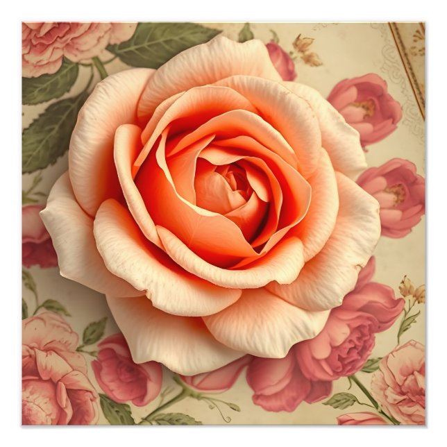 Rose art photo print (Front)