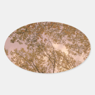 'Rose Autumn' Stickers