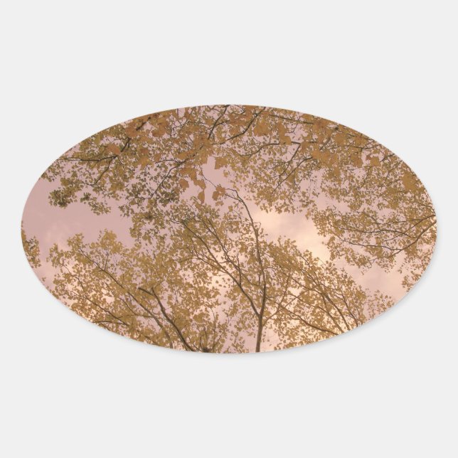 'Rose Autumn' Stickers (Front)