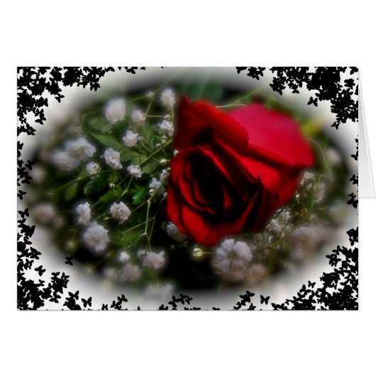 Rose & Baby's Breath Cards (Front Horizontal)