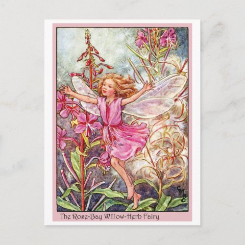 Rose_Bay Wilow_Herb Fairy Postcard