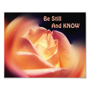 Rose Be Still And Know Inspirational Quote 8x10 Photo Print