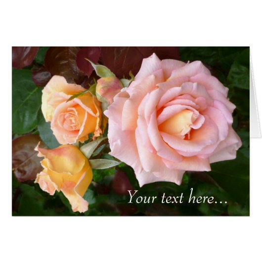 Rose Beauty (Front Horizontal)