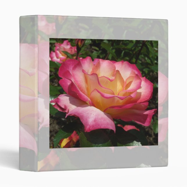 Rose Binder (Front/Spine)