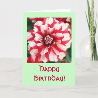 Rose Birthday Greeting Card