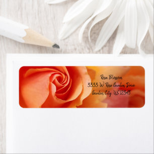 Rose Blossom / Apricot Peach /Return Address Label