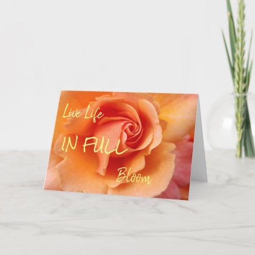 Rose Blossom  Apricot Peach  Thinking Of You Card