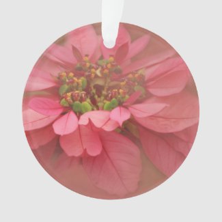 Rose Blush Poinsettias Digital Art Ornament