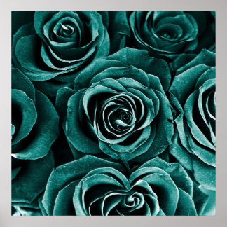 Rose Bouquet in Turquoise Poster
