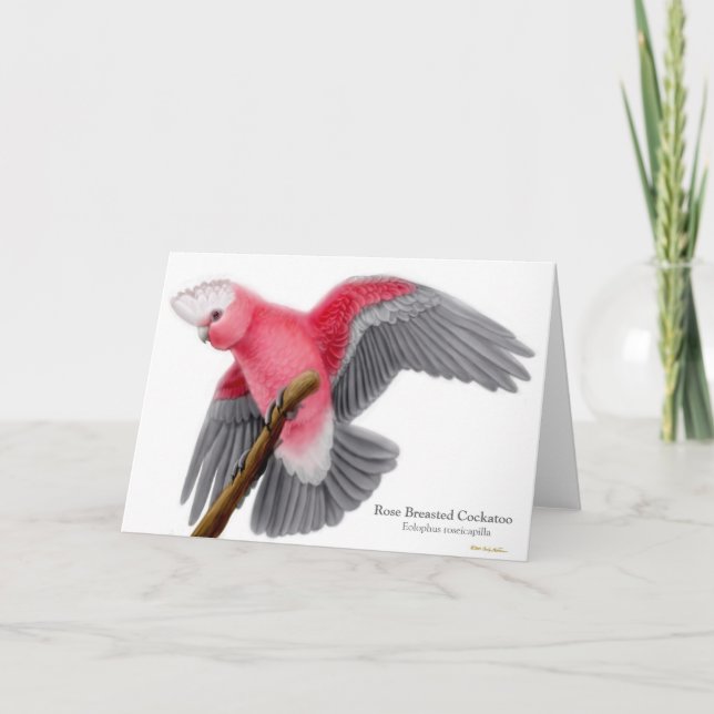 Rose Breasted Cockatoo Greeting Card (Front)