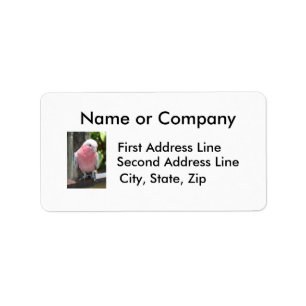 Rose Breasted Cockatoo photograph design Label