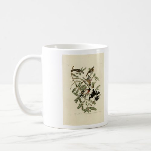 Rose_breasted Grosbeak Audubons Birds of America Coffee Mug