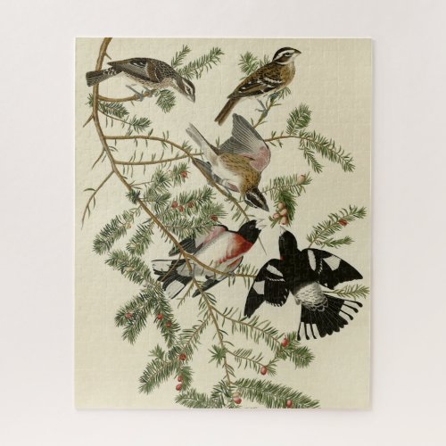 Rose_breasted Grosbeak Audubons Birds of America Jigsaw Puzzle