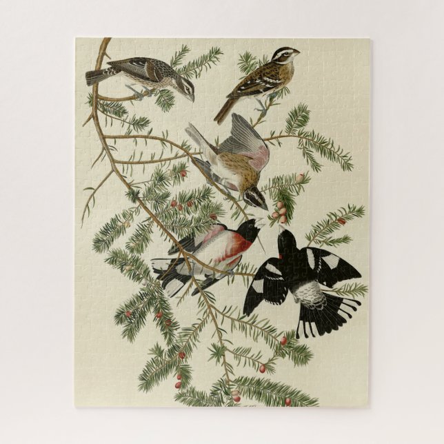 Rose-breasted Grosbeak, Audubon's Birds of America Jigsaw Puzzle (Vertical)