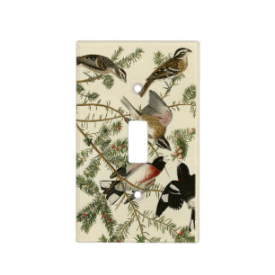Rose-breasted Grosbeak, Audubon's Birds of America Light Switch Cover
