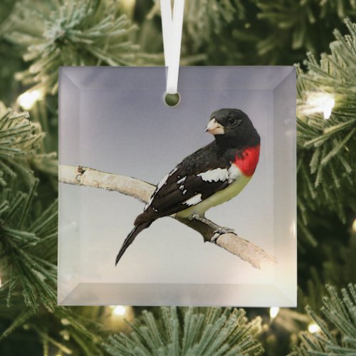 Rose_breasted Grosbeak Beveled Glass Ornament