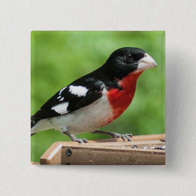 Rose-breasted Grosbeak Button (Front)