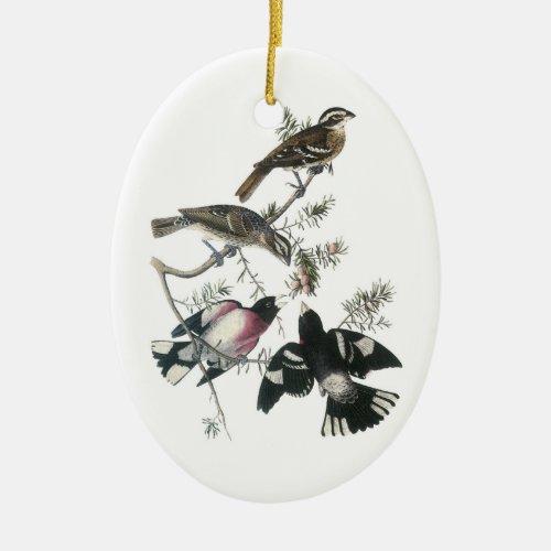 Rose_breasted Grosbeak by Audubon Ceramic Ornament