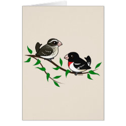 Rose-breasted Grosbeak Couple Note Card