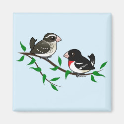 Rose-breasted Grosbeak Couple Square Magnet