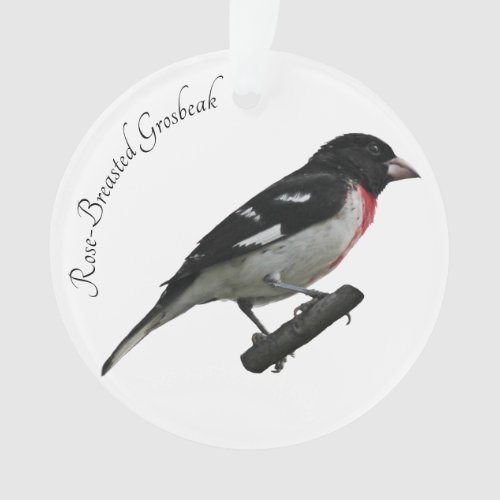 Rose_Breasted Grosbeak Ornament