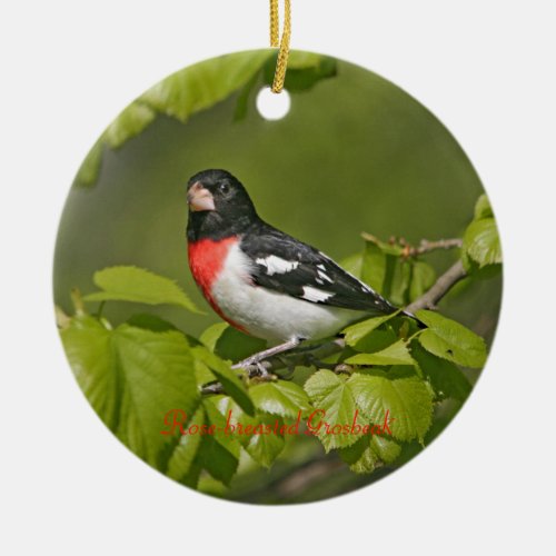 Rose_breasted Grosbeak Photography Round Ceramic Ornament