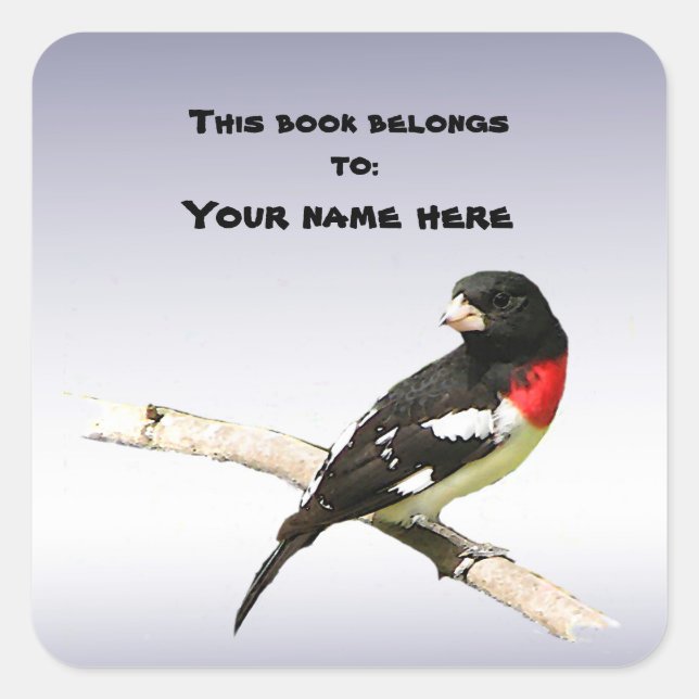 Rose-breasted Grosbeak Square Sticker (Front)