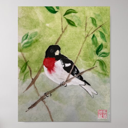 Rose Breasted Grosbeak Watercolor  Ink  Poster