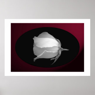 Rose Bud (Black & White) Poster