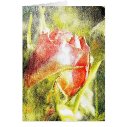 Rose Bud Cards (Front)