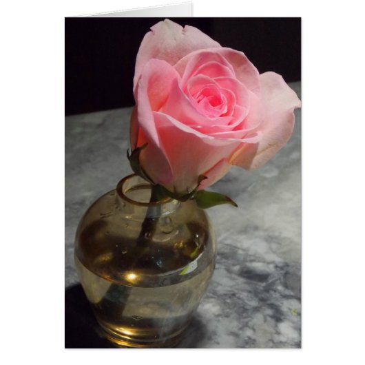 Rose Bud Cards (Front)