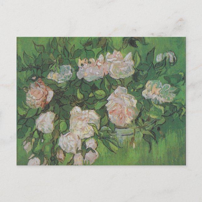 Rose Bush by Vincent Van Gogh  Postcard (Front)