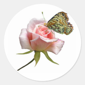 Rose Butterfly Classic Round Sticker