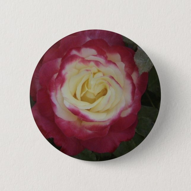 Rose Button (Front)