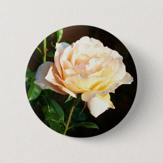 Rose Button or Badge