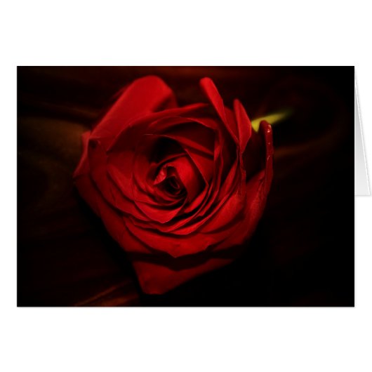 "rose" by Larry Coressel Cards (Front Horizontal)