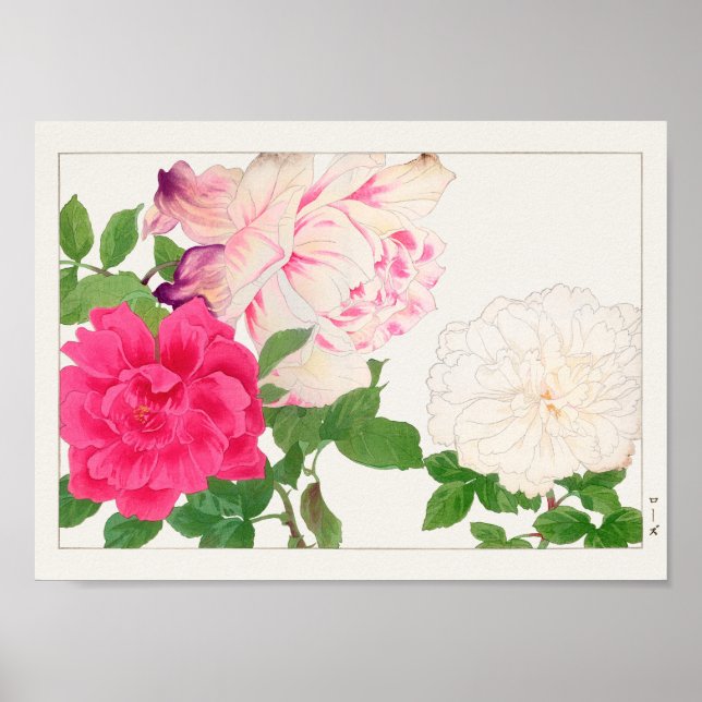 Rose by Tanigami Konan Poster (Front)