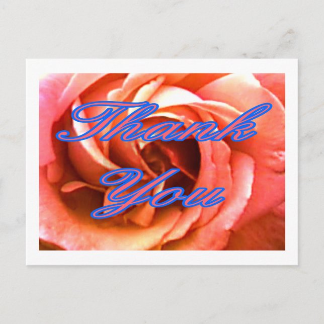 Rose Canterbury 4 Thank You 1 The MUSEUM Zazzle Gi Postcard (Front)