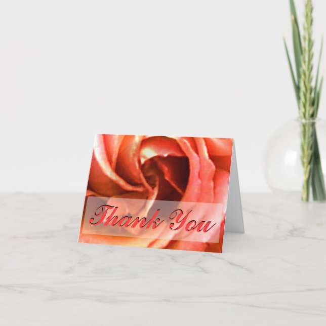 Rose Canterbury Thank You The MUSEUM Zazzle Gifts (Front)