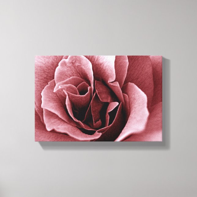 rose canvas print (Front)