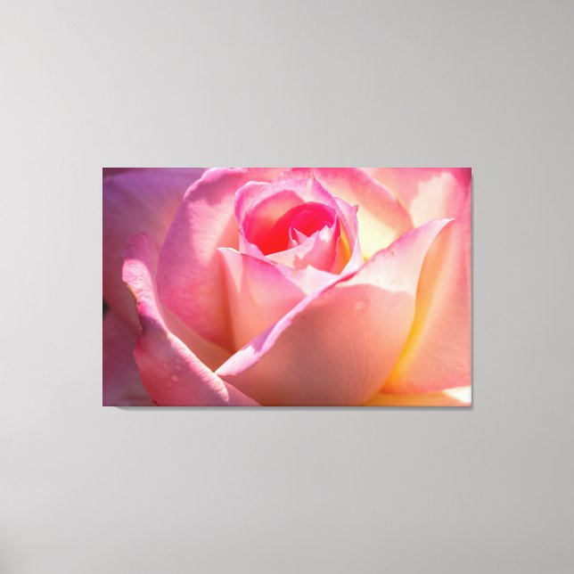 Rose Canvas Print (Front)
